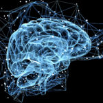 brain_cells