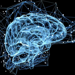 brain_cells