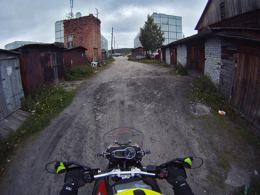 Svinpäls vid polcirkeln